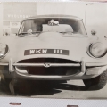 Steviegtr