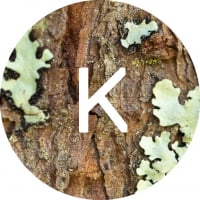 KeelyKulpa1