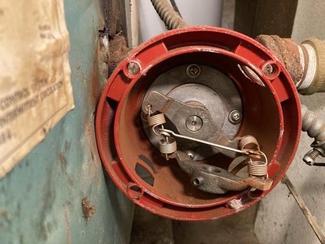 IMG_0769 Medium.jpeg