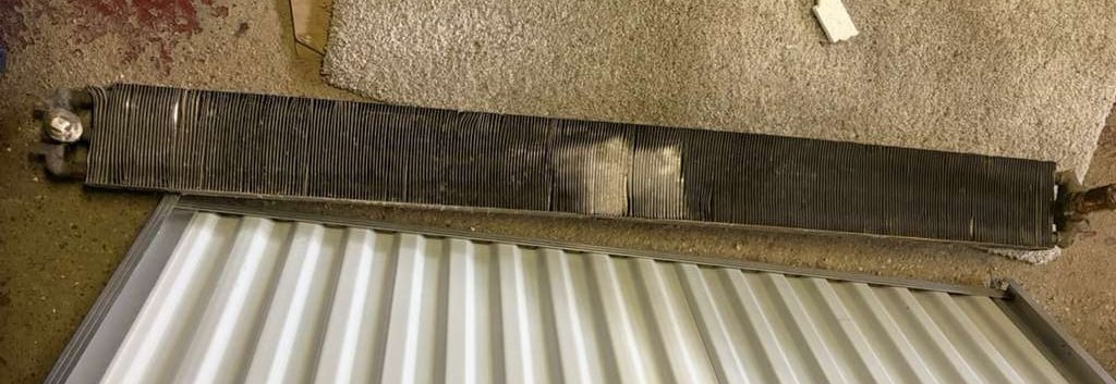 WhatsApp Image 2025-11-19 at 1.09.44 PM.jpeg