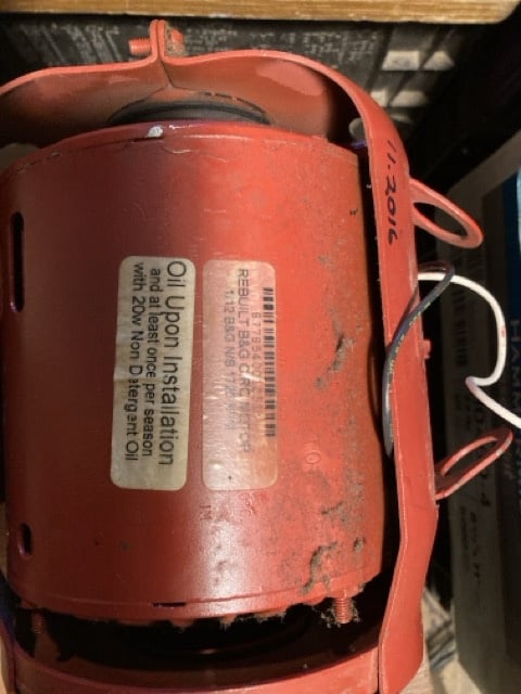 IMG_0768 Medium.jpeg