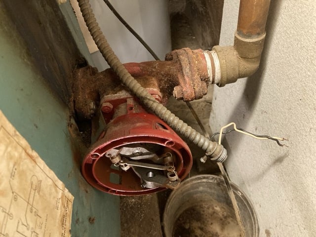 IMG_0770 Medium.jpeg