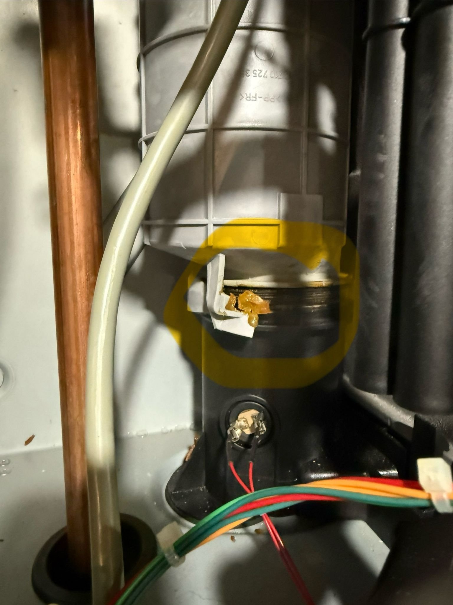 WhatsApp Image 2025-11-13 at 8.42.59 AM.jpeg