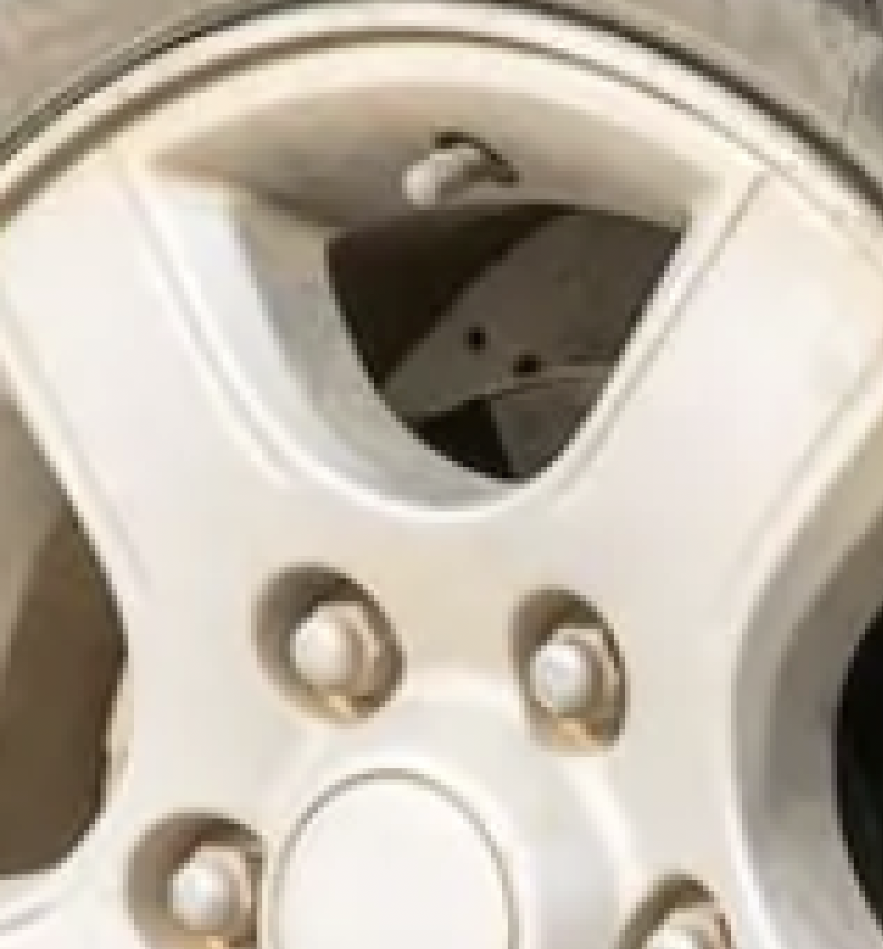 Screenshot 2025-11-18 at 9.48.45 AM.png