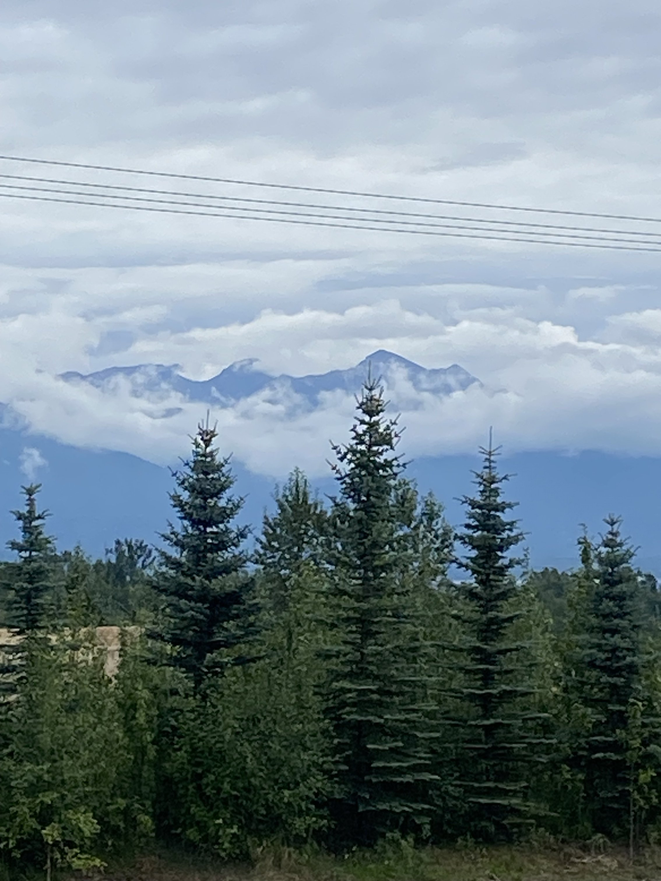 IMG_1837.jpeg