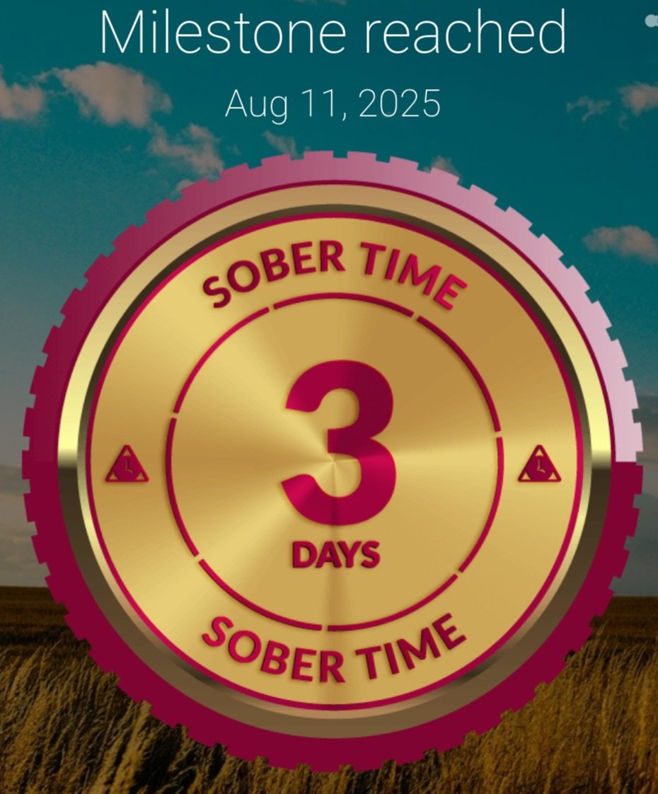Screenshot_20250811_002350_Sober Time.jpg