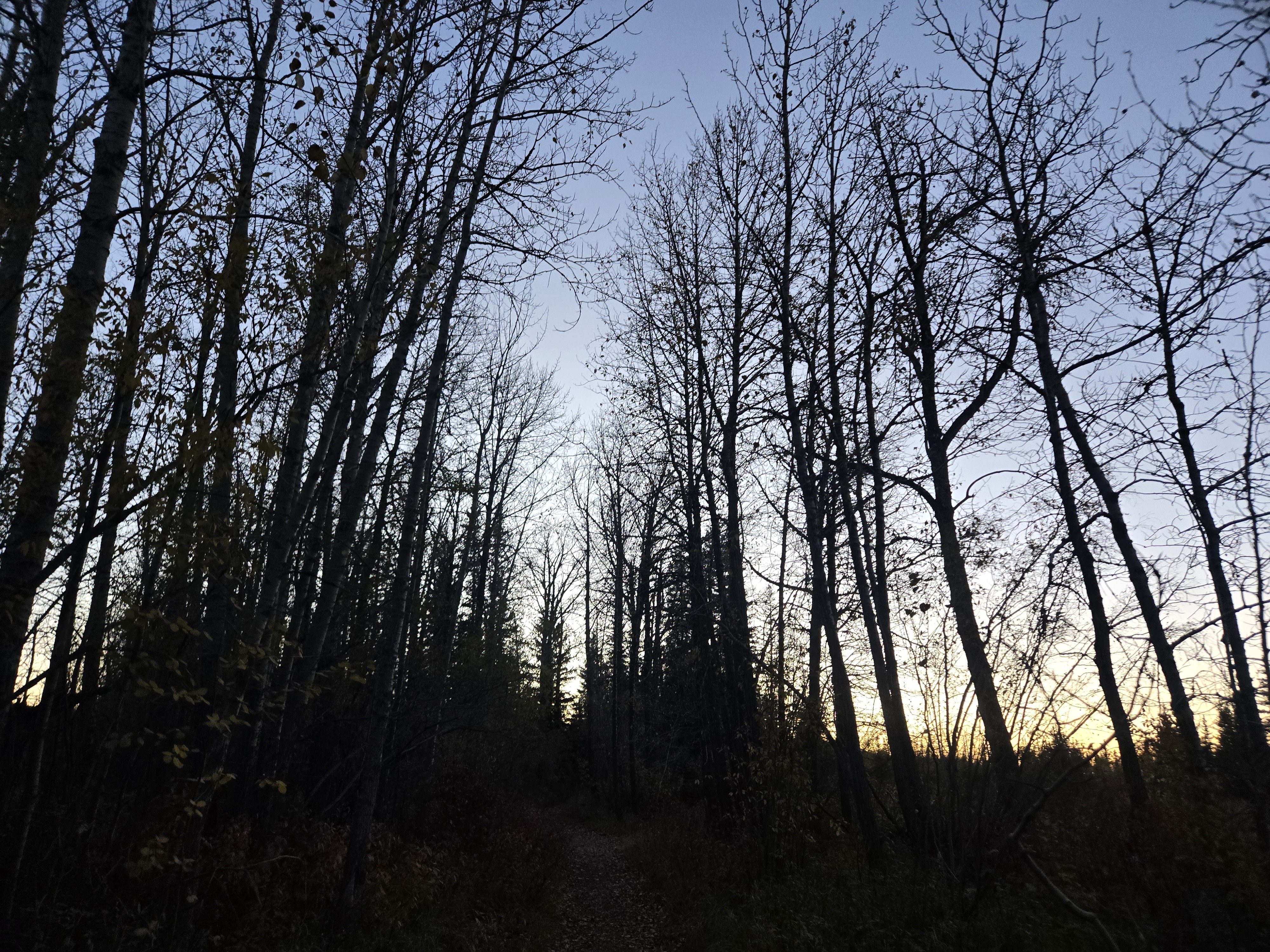 20251009_190904.jpg