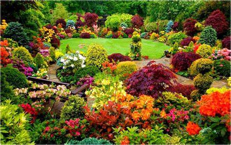garden.jpg
