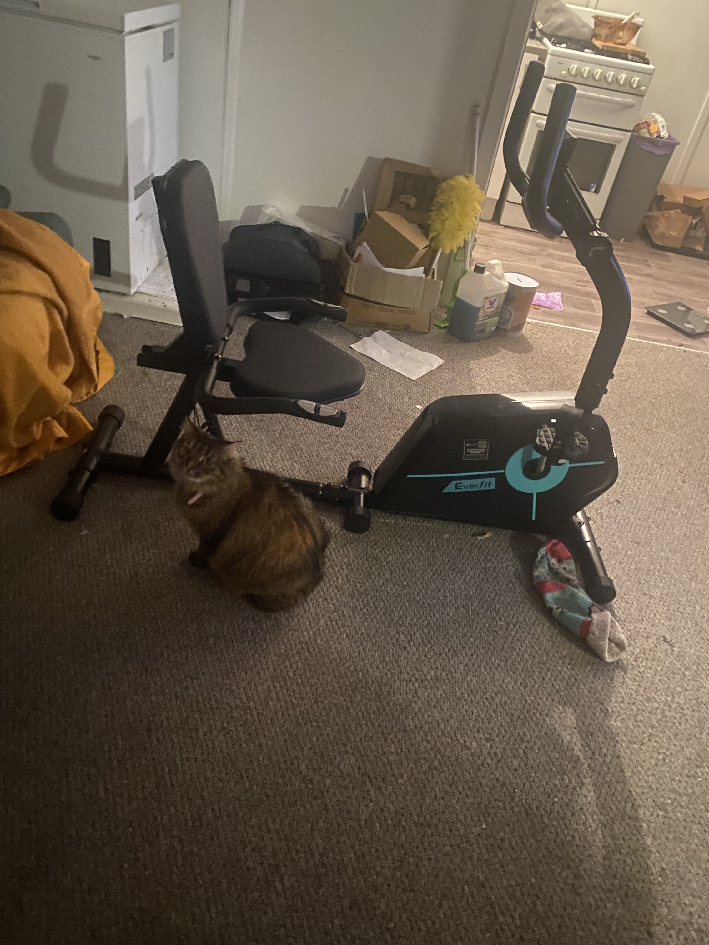 IMG_0373.jpeg