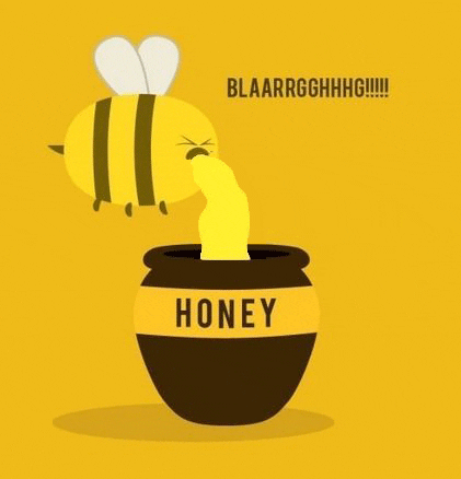 Honey Bee GIF.gif