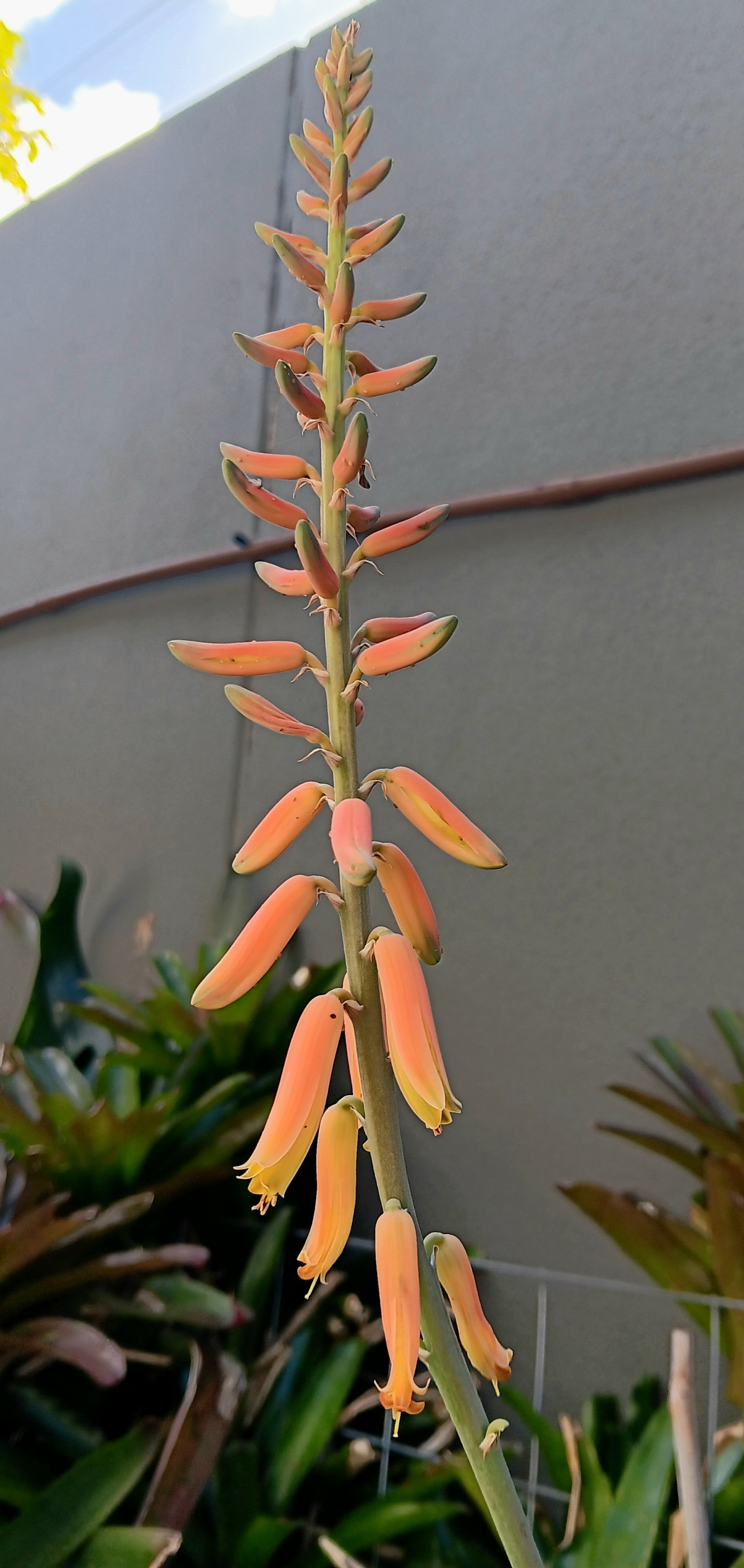 20250606_132553.jpg