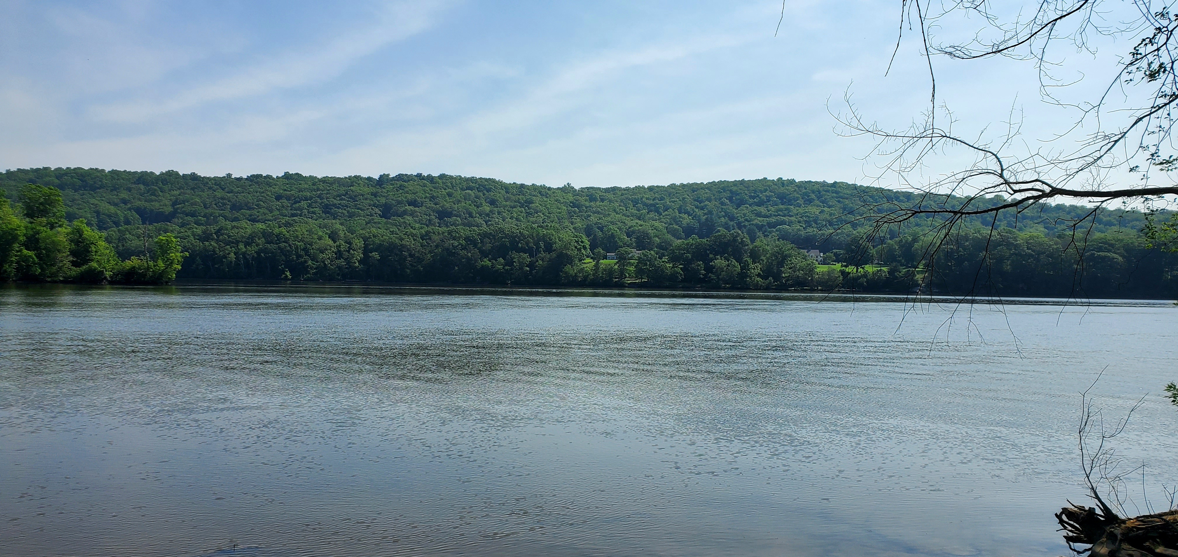 20250612_100453.jpg