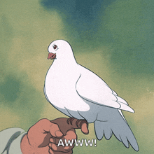 IMG_5438.gif