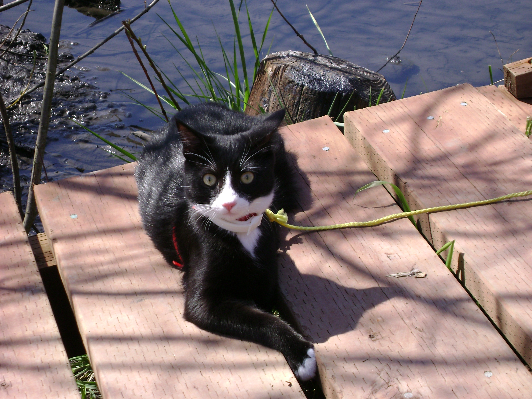 DSC00758.JPG