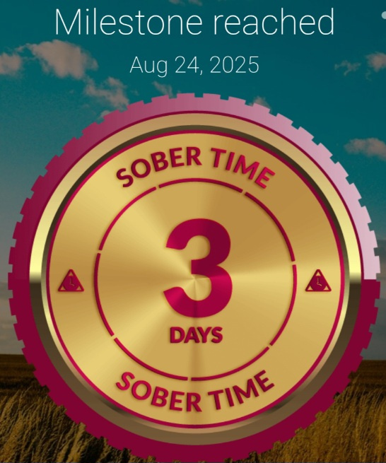 Screenshot_20250824_094842_Sober Time.jpg