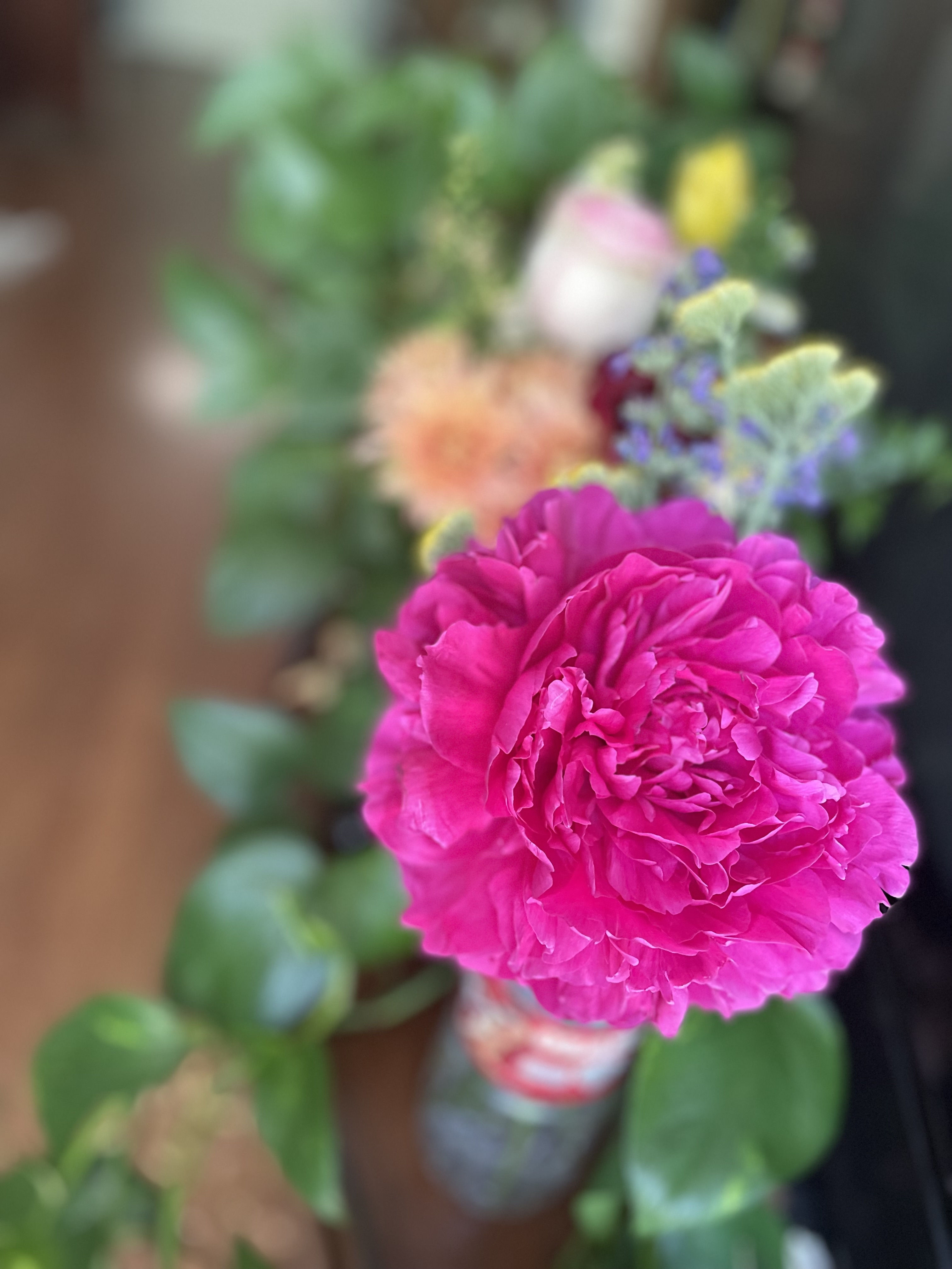 IMG_7631.jpeg