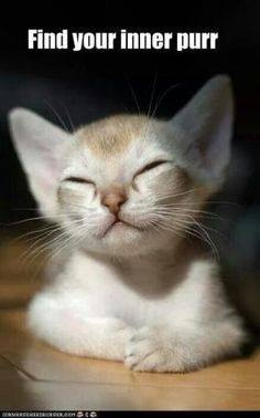 Find your inner purr.jpg