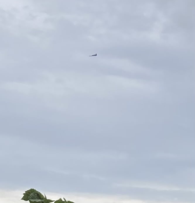IMG_2605.jpeg