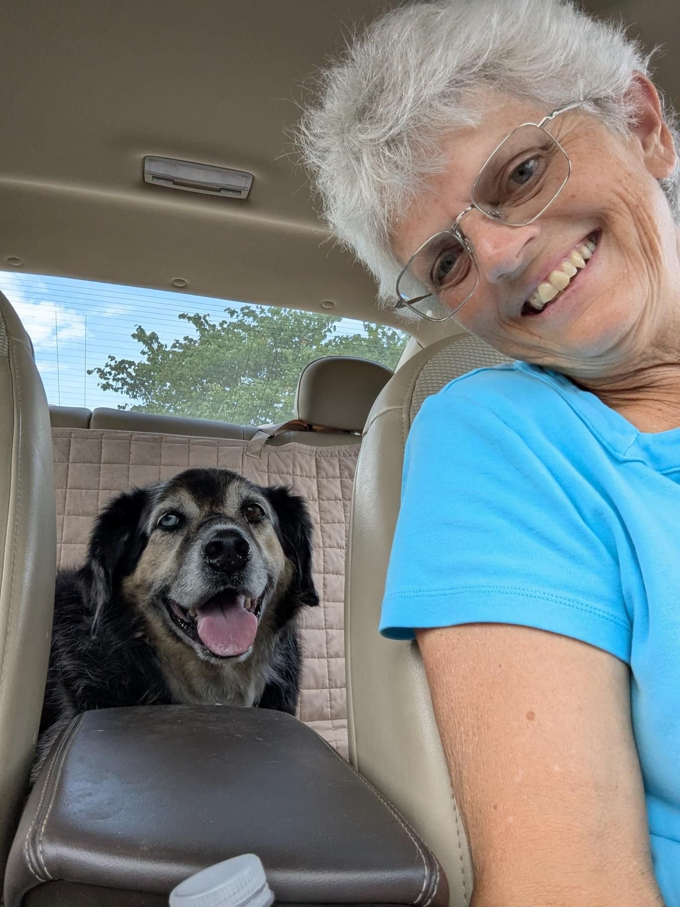 picking up Tippy from All dogs.jpg