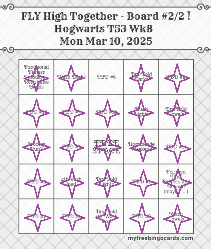 Bingo Fly High Together 03 10 25 Weekly Focus Bingo! a Board #2 of 2 b2, cropped, and checking off done tasks.jpg