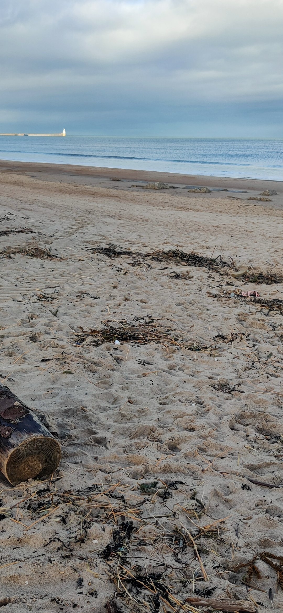 beach01.jpg