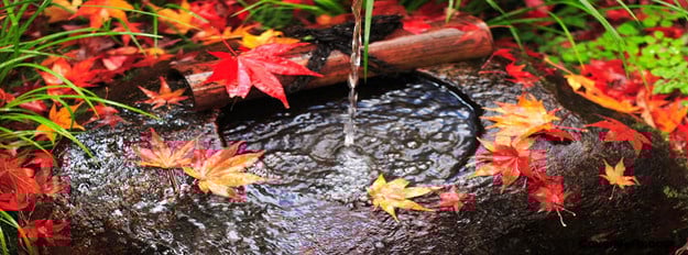 Fall-Autumn--Autumn-Leaves-in-Stream--32024.jpg