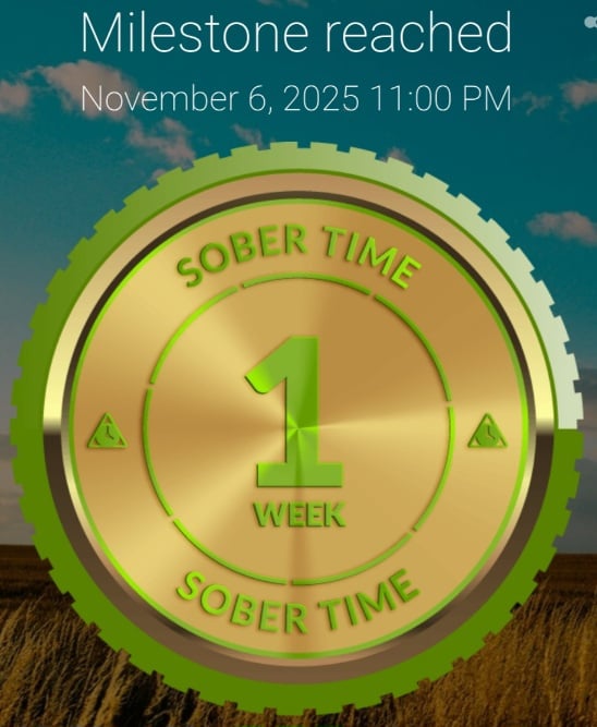 Screenshot_20251107_133114_Sober Time.jpg