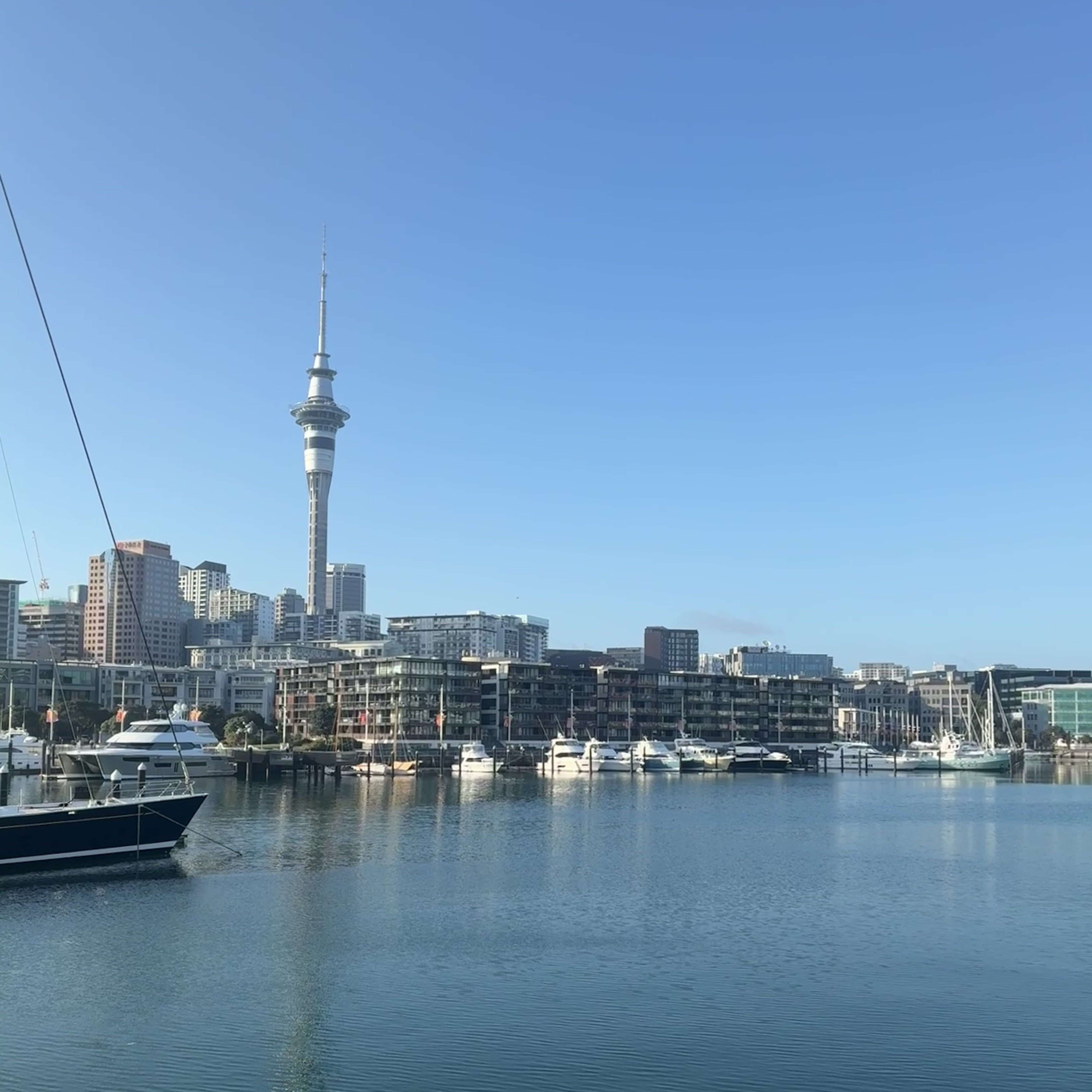 IMG_8242.jpeg