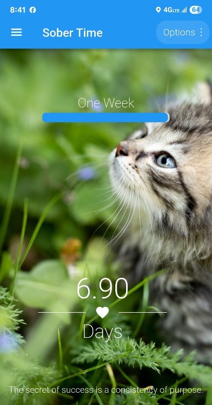 Screenshot_20251106_204139_Sober Time.jpg