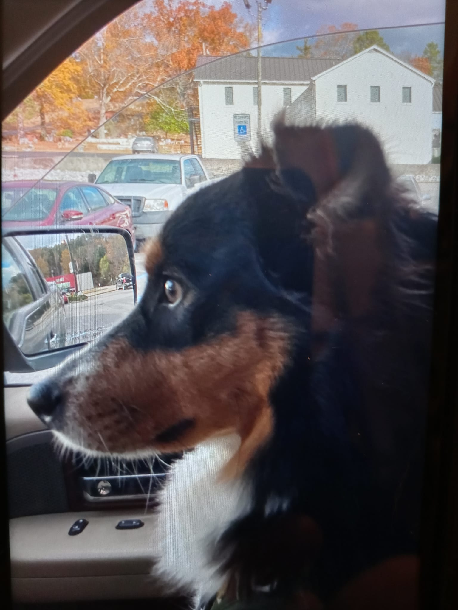 Ziva car pic.jpg