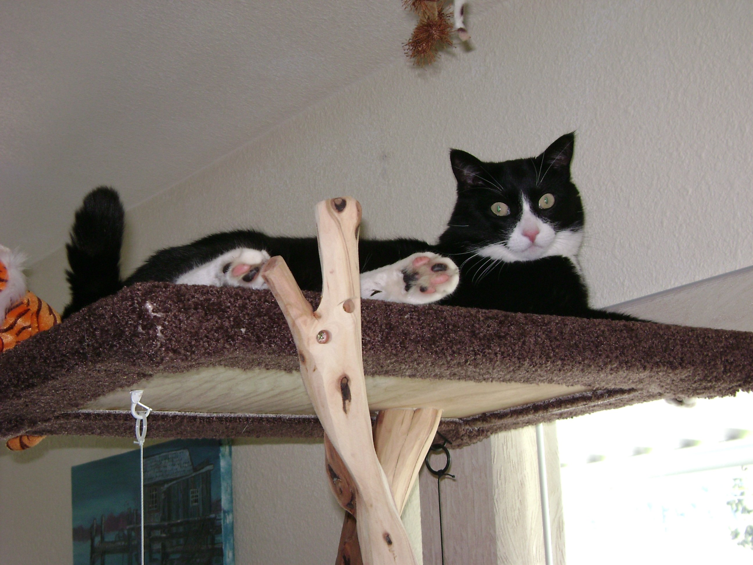 DSC01667.JPG