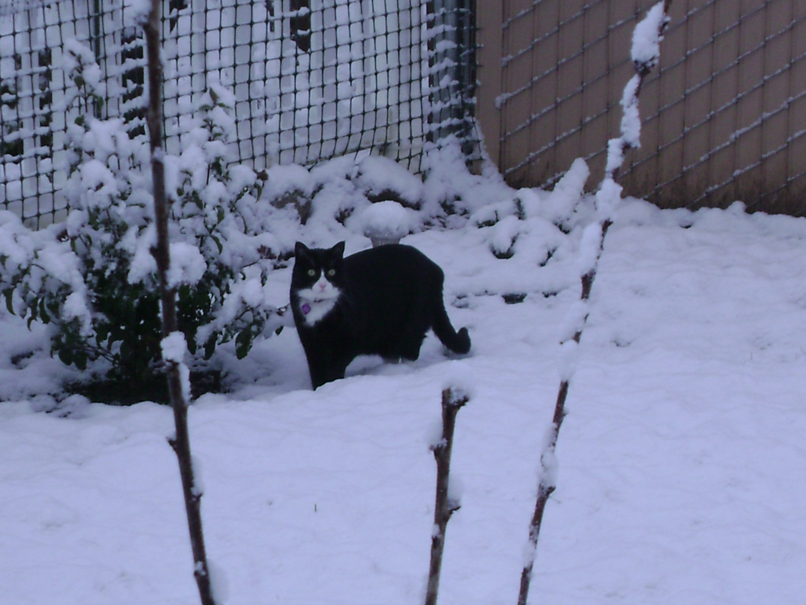 DSC01641.JPG