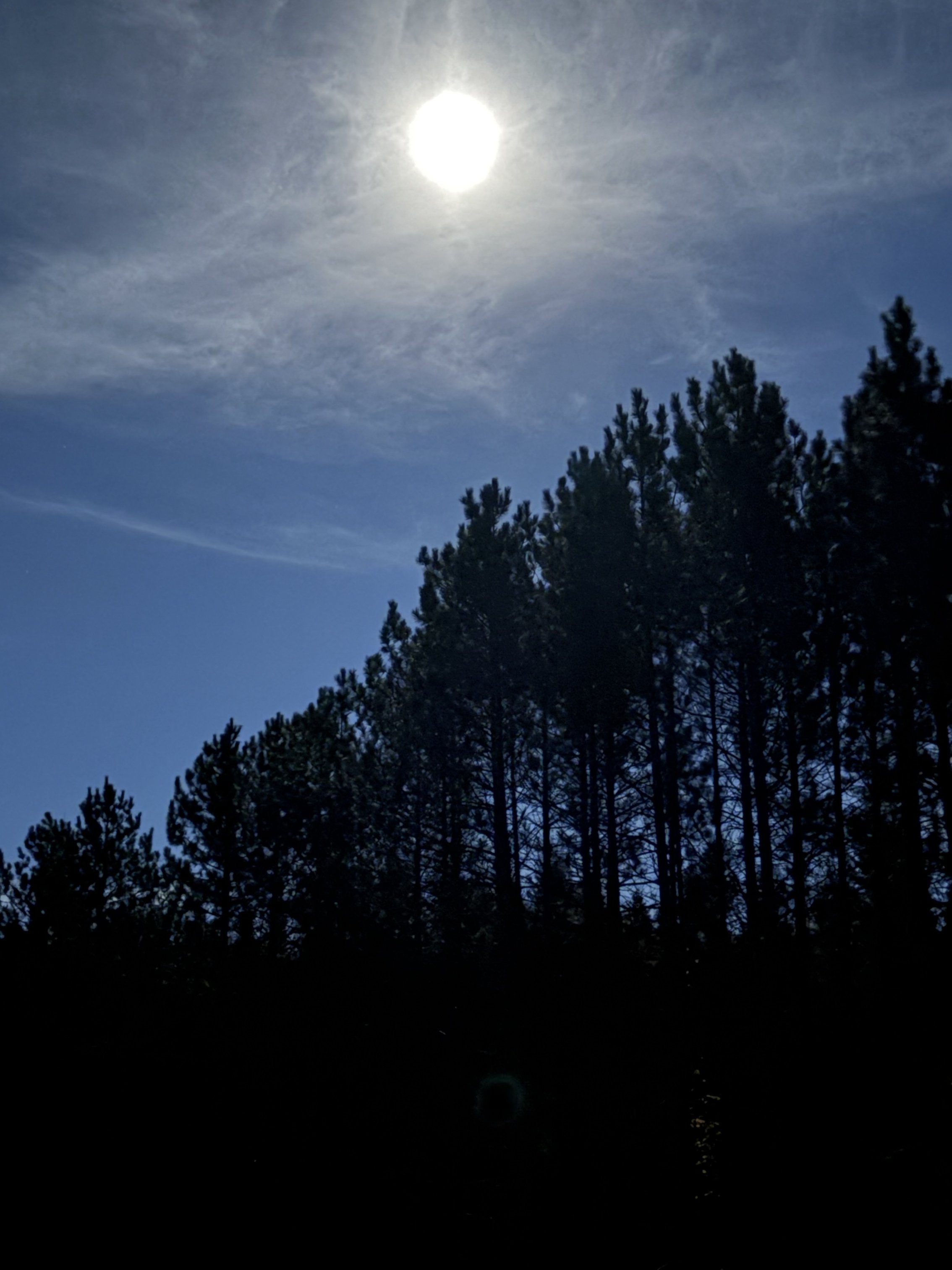 IMG_0503.jpeg