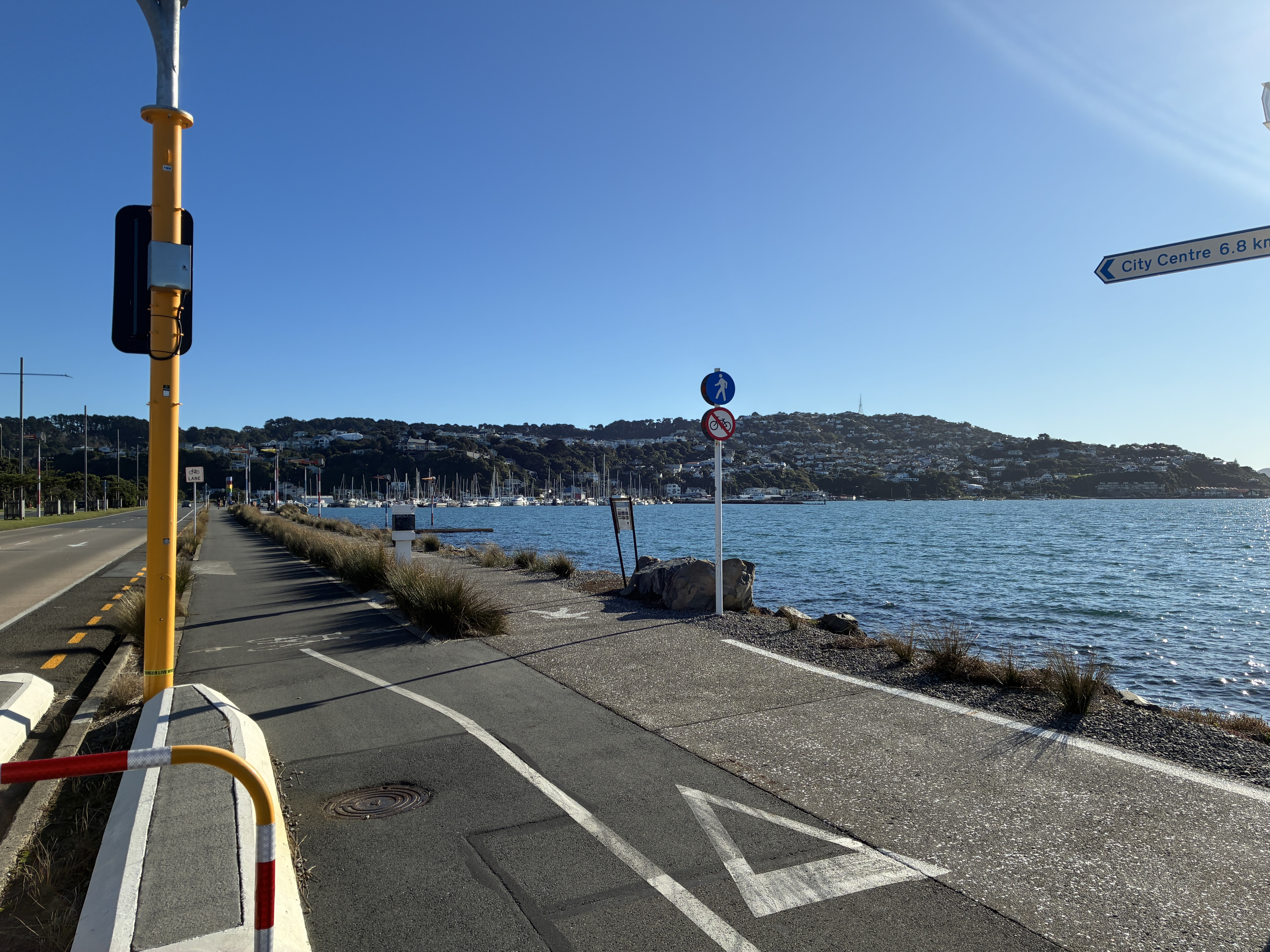 IMG_7752.jpeg