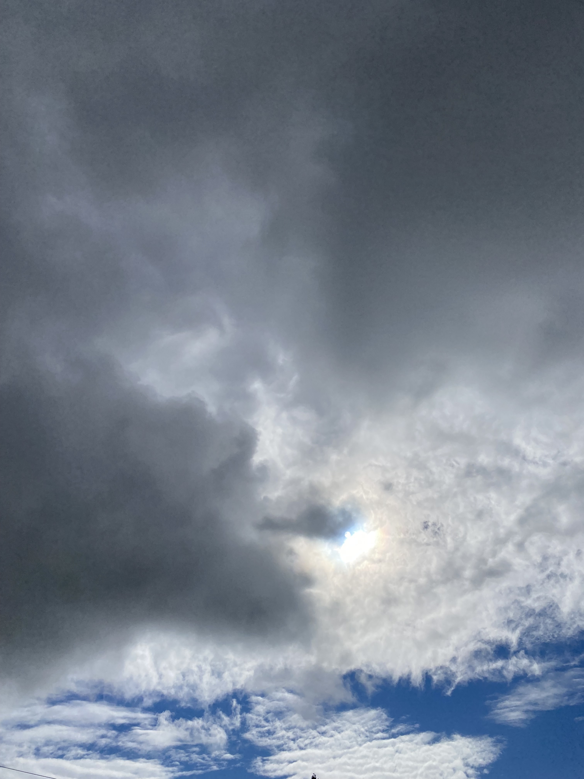 IMG_1888.jpeg