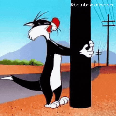 IMG_2560.gif