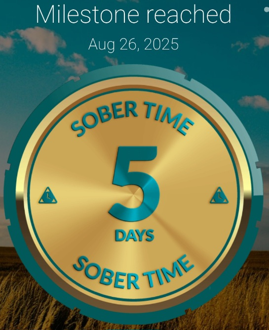 Screenshot_20250826_000851_Sober Time.jpg