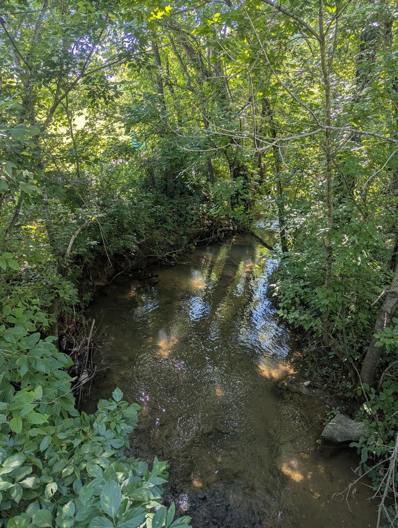 birthday run creek.jpg