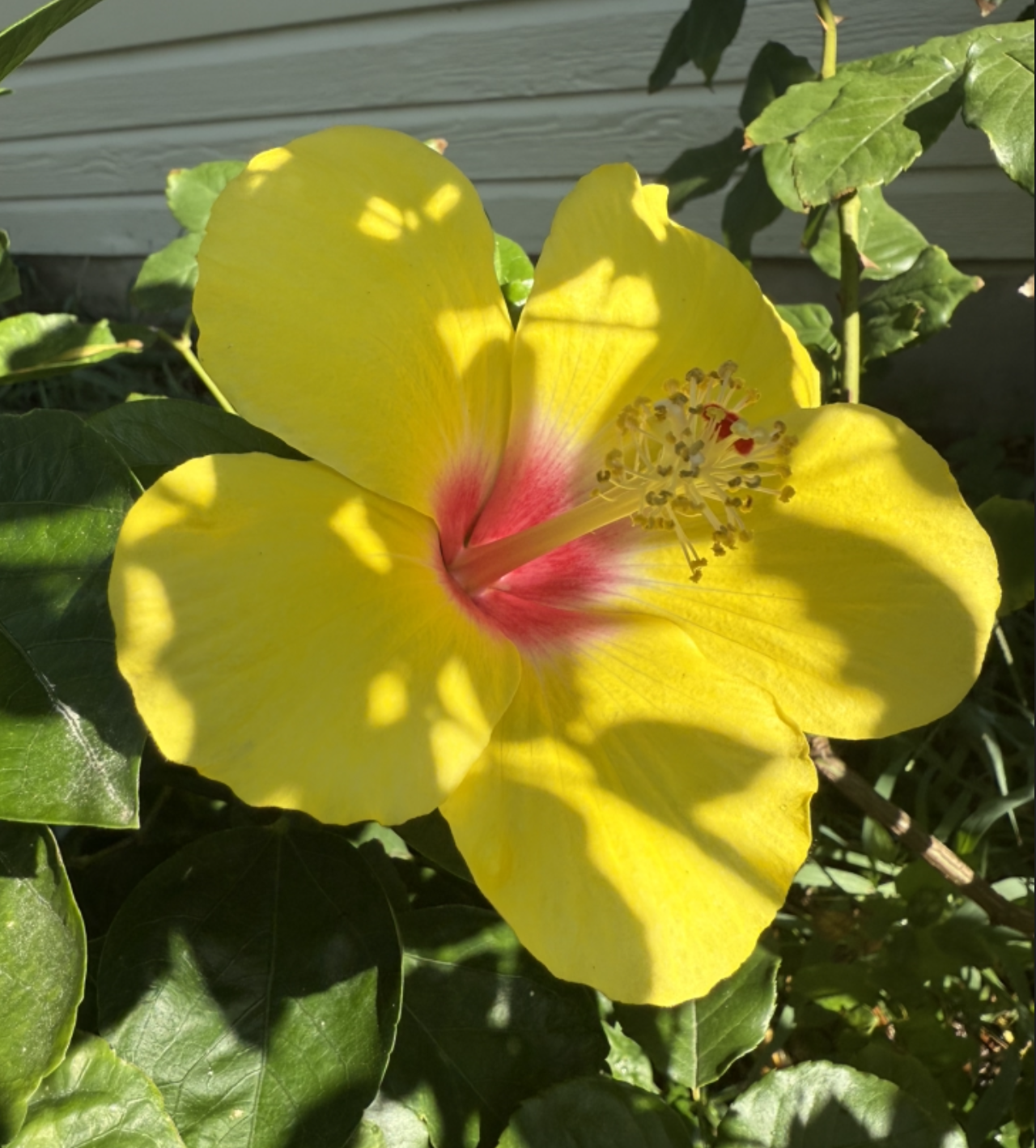 Screenshot 2025-09-09 at 5.44.41 AM.png