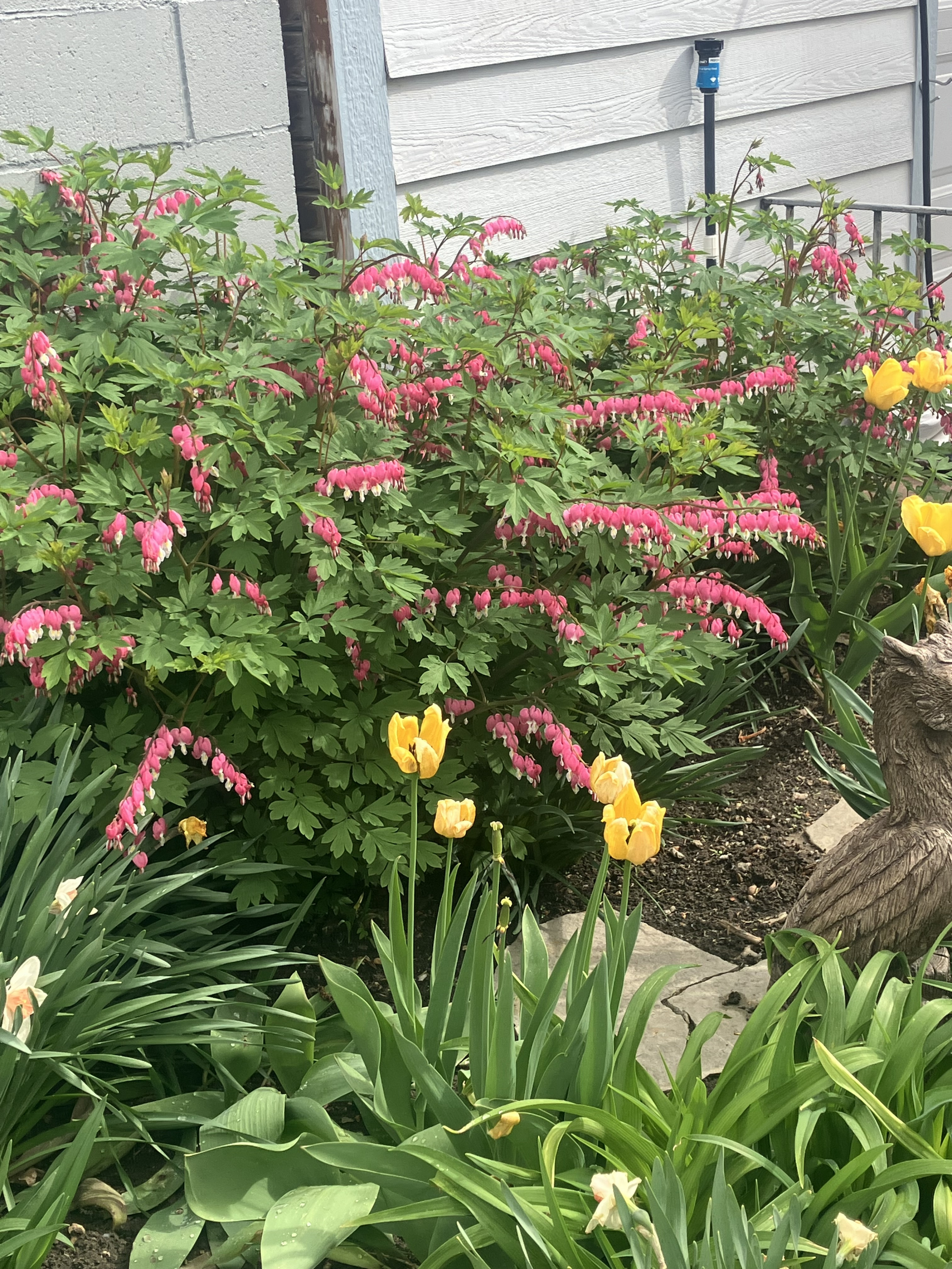 IMG_4491.jpeg
