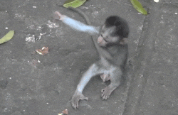 I Love You Hug GIF (1).gif