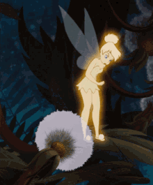 IMG_5034.gif