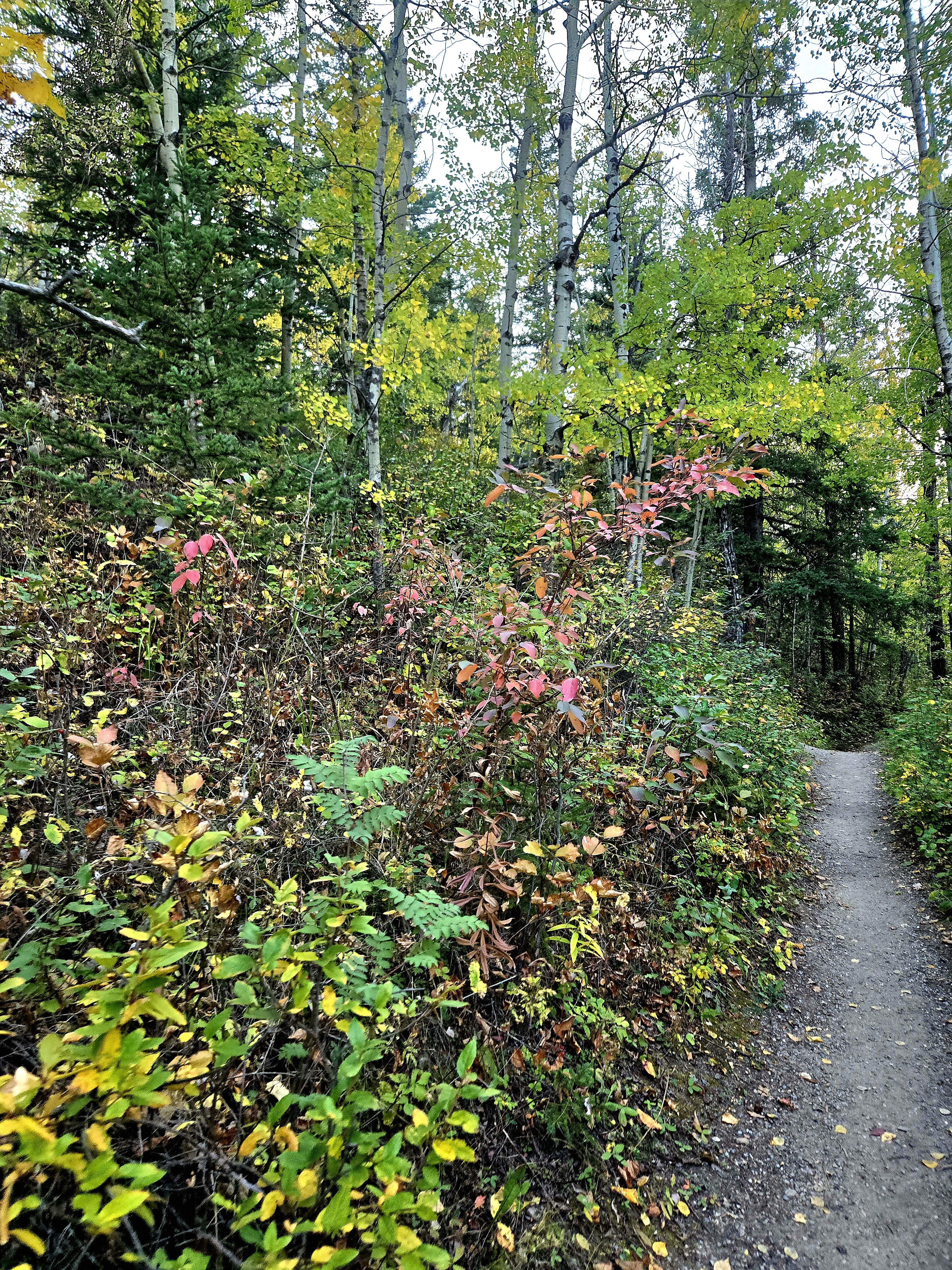 20250925_190220.jpg