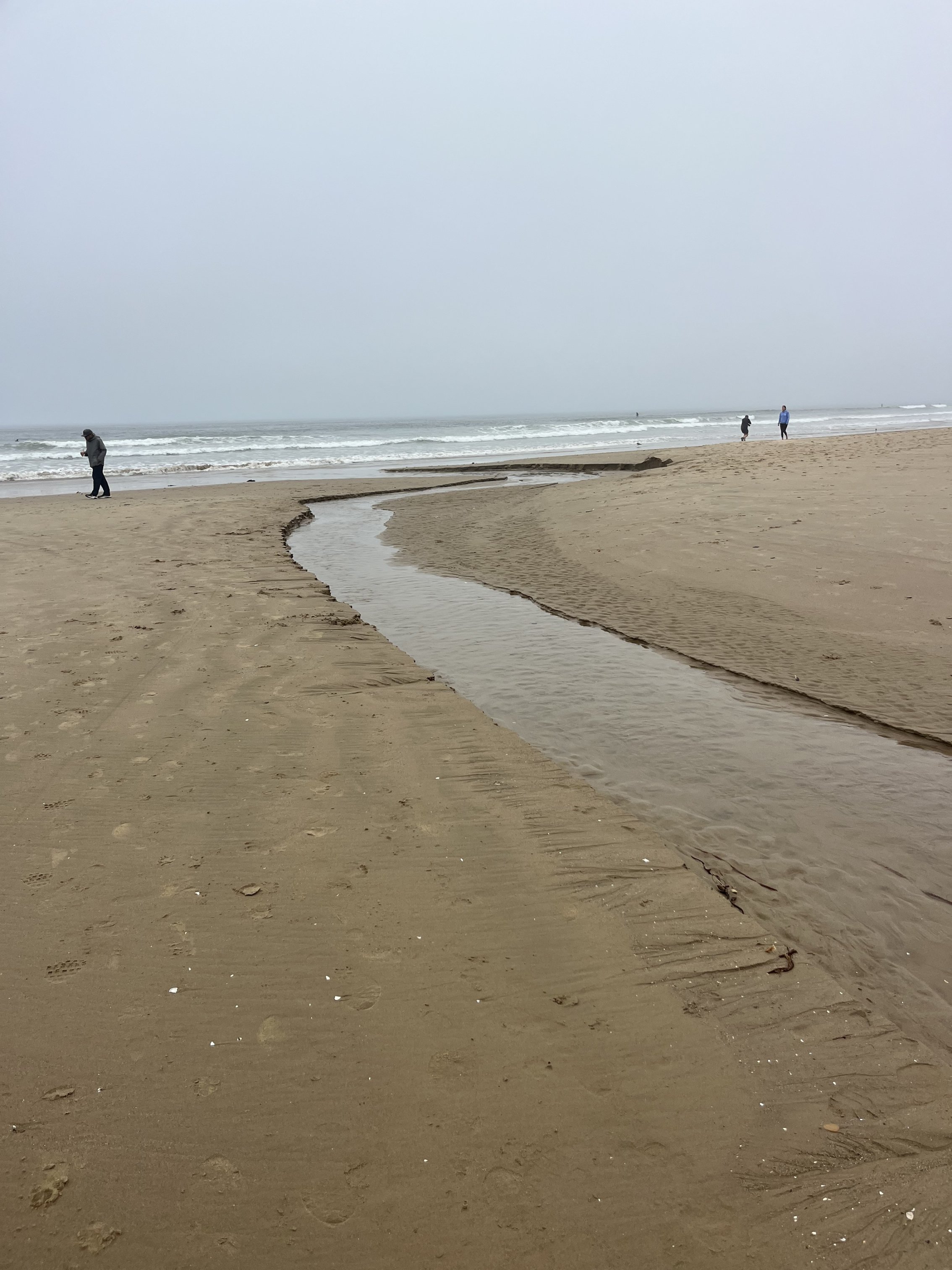 IMG_2926.jpeg