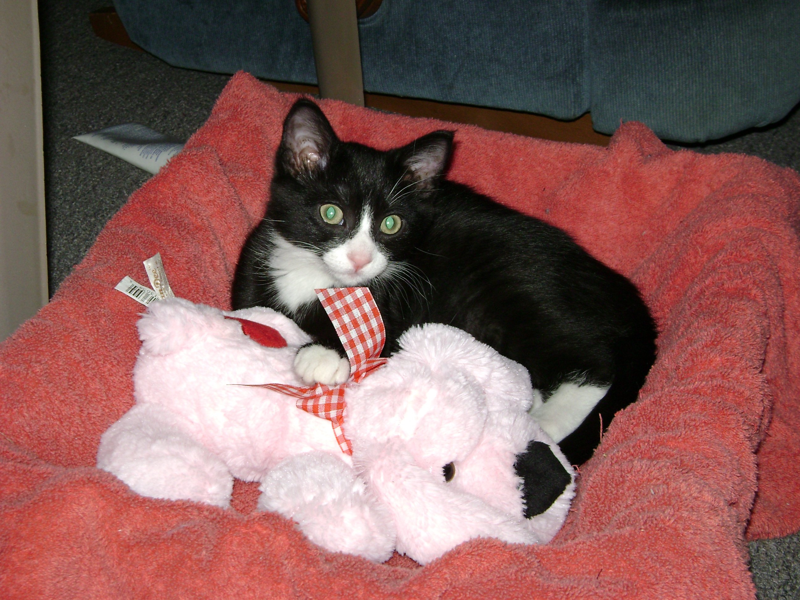 DSC00618.JPG