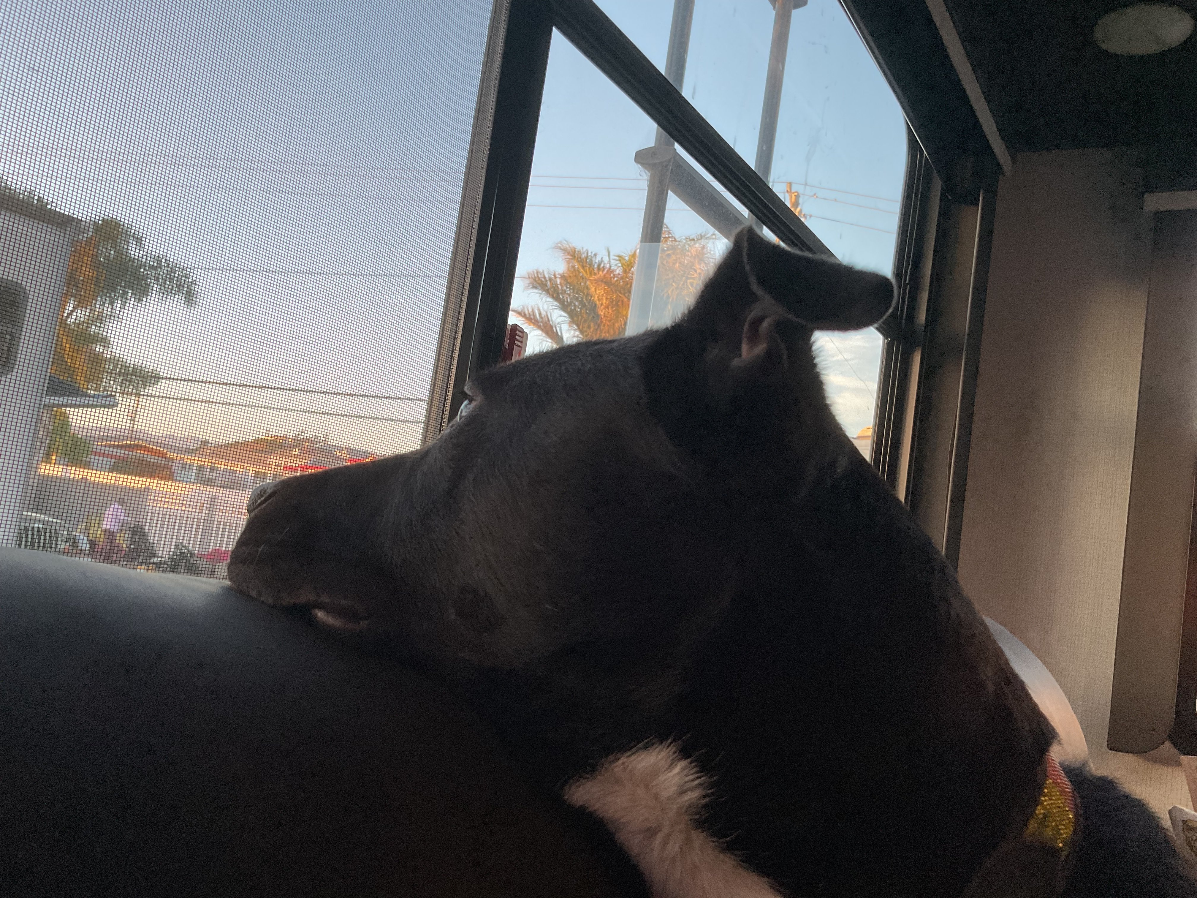 IMG_1072.jpeg