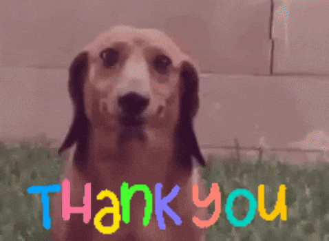 Dog Thank You GIF by MOODMAN.gif