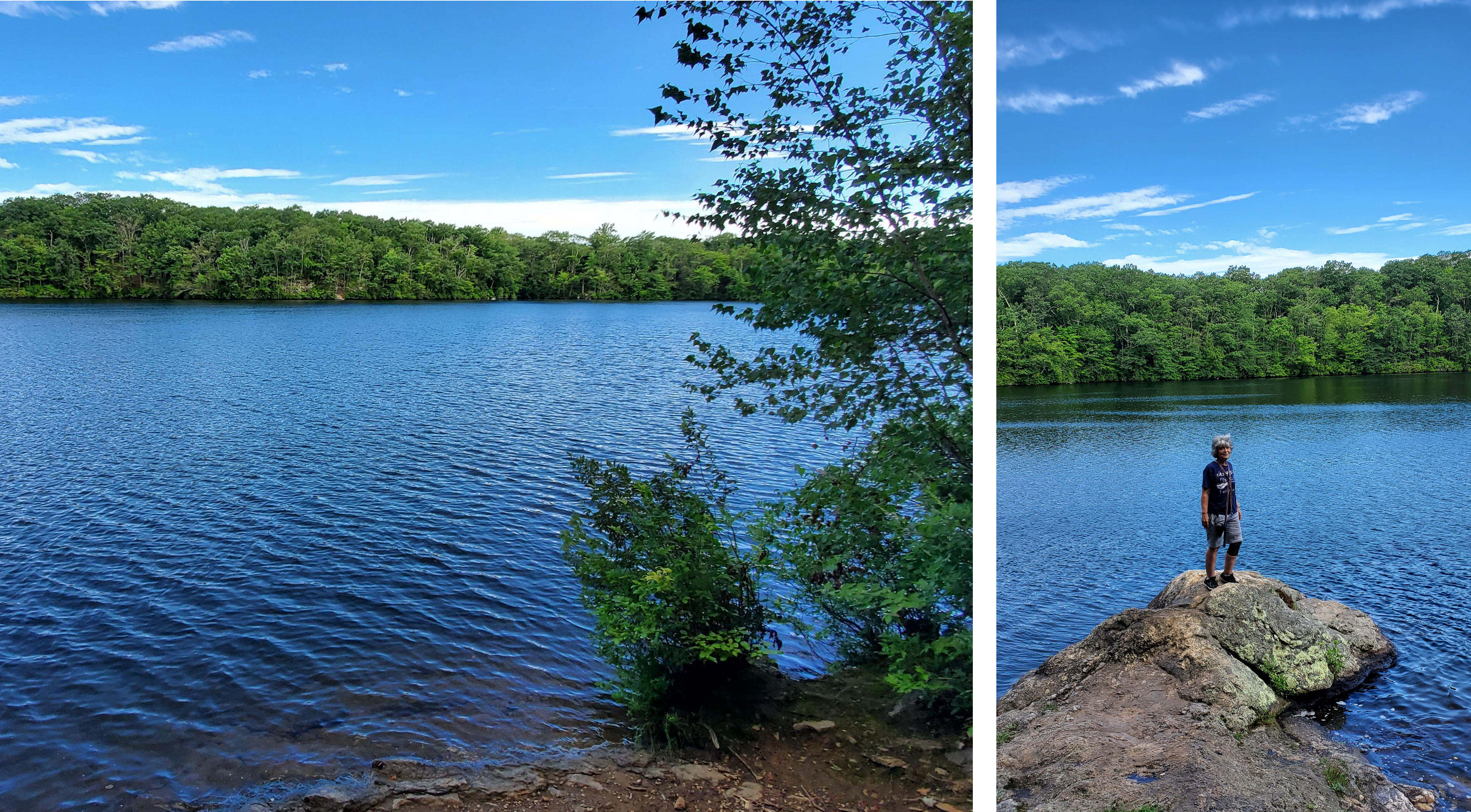 Miller Pond 2.png