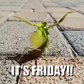 Friday Guy GIF.gif