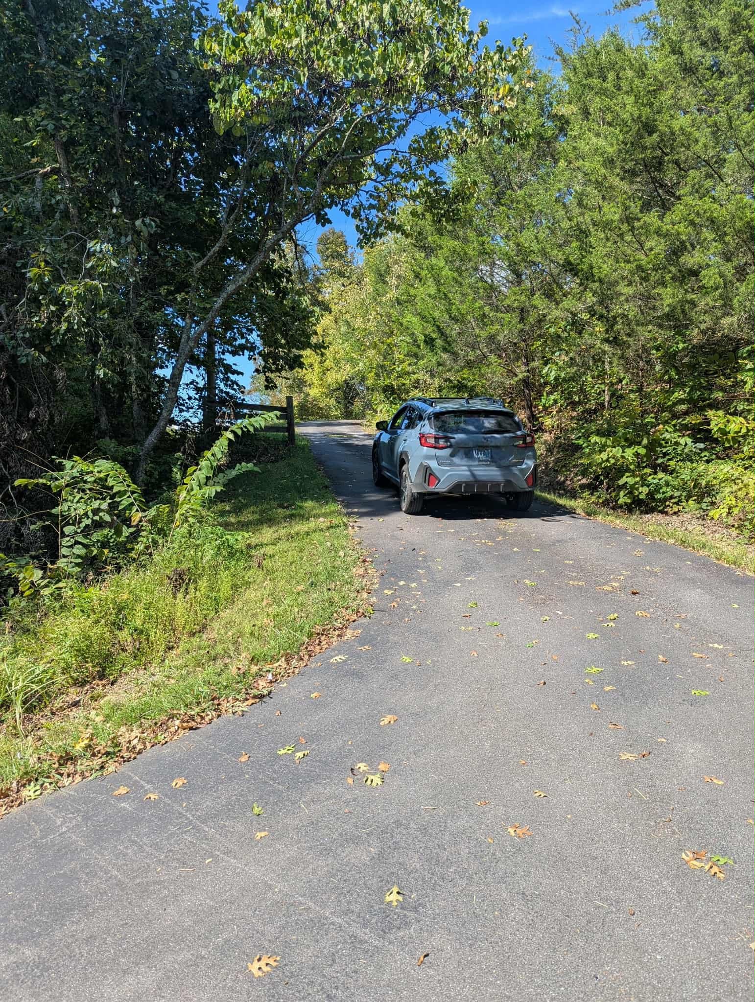 driveway hill.jpg